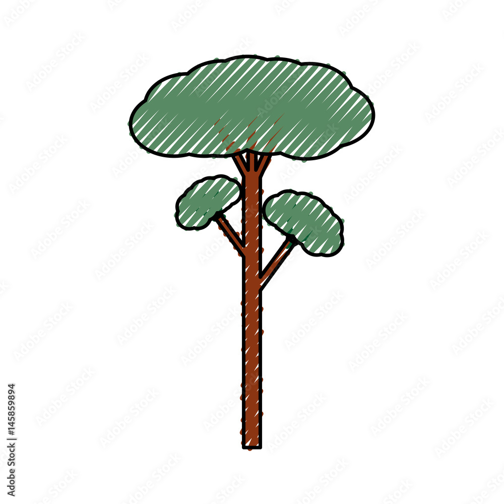 Fototapeta premium Tree natural ecology icon vector illustration graphic design