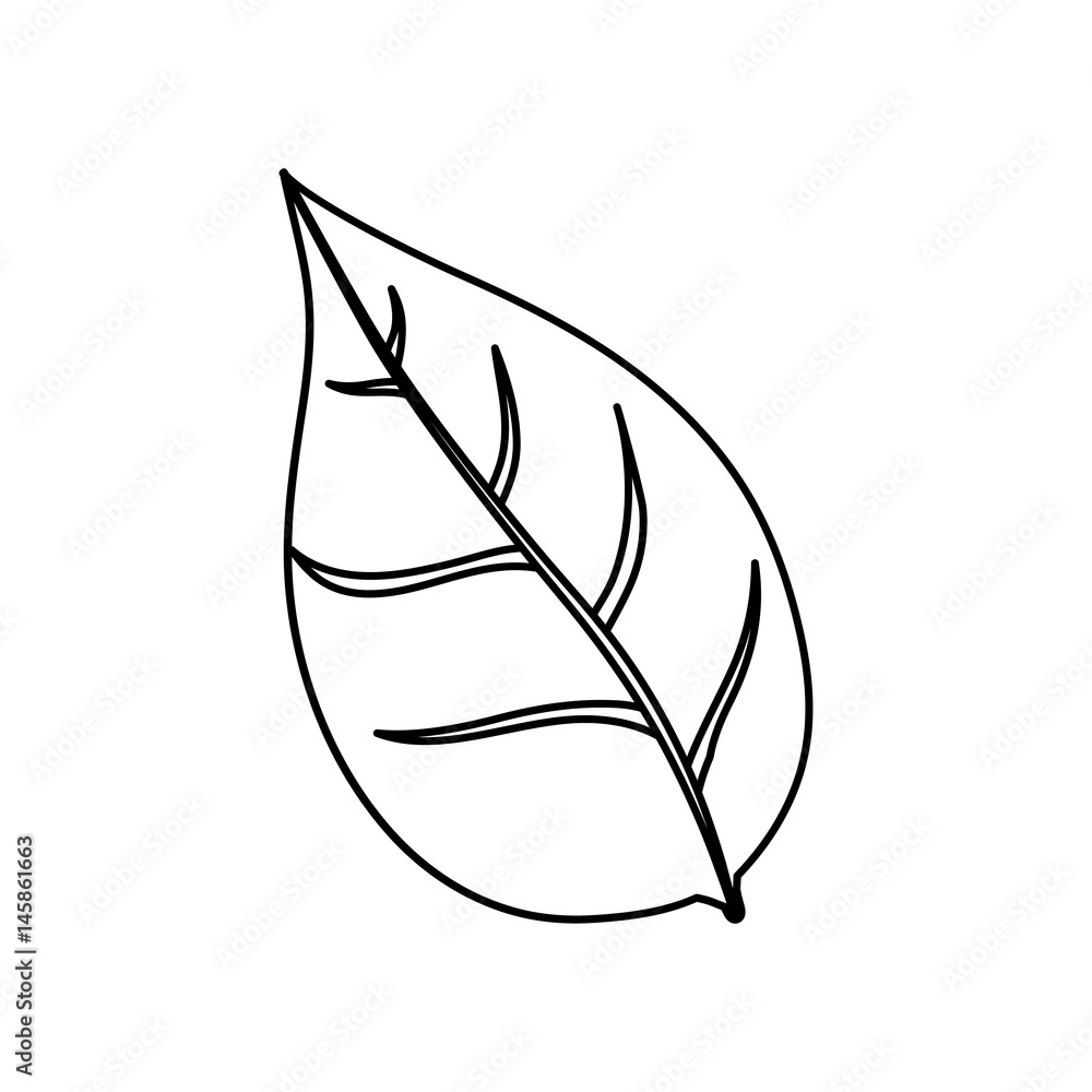 Leaf ecology symbol icon vector illustration graphic design Leaf ecology symbol icon vector illustration graphic design