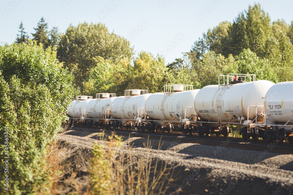 Naklejka premium Railroad Tanker Cars in Landscape Setting