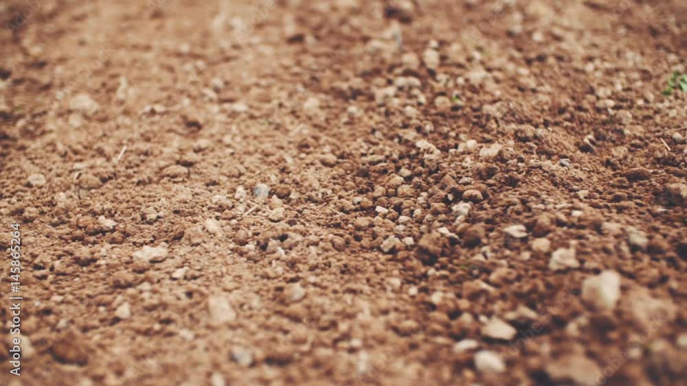 Fresh cultivated land. Cultivated field / soil Fresh cultivated land. Cultivated field / soil