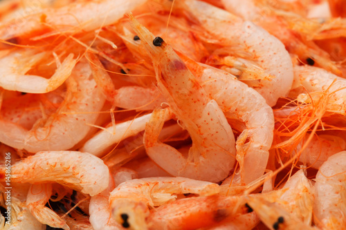 Wallpaper Mural 桜海老の釜揚げ Torontodigital.ca