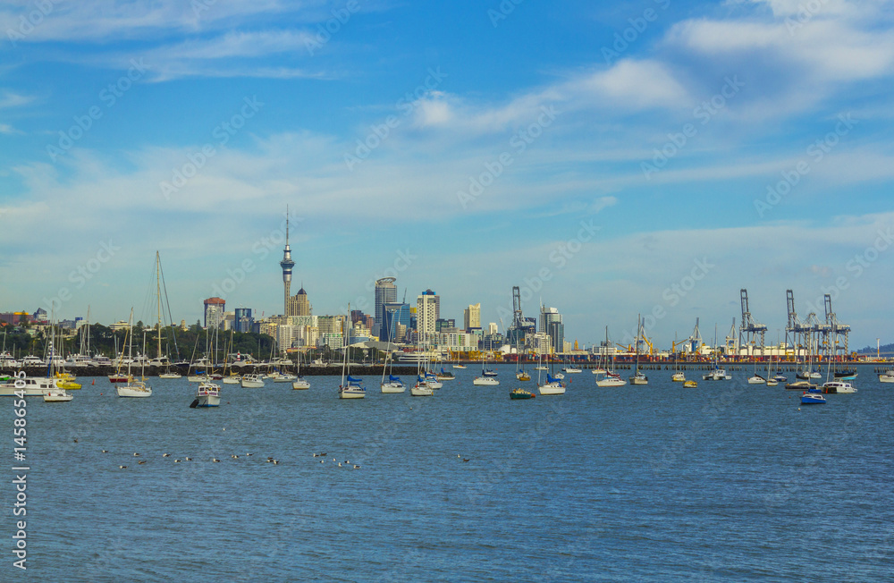 Boat Marina and View to Auckland City from Mission Bay - New Zealand Boat Marina and View to Auckland City from Mission Bay - New Zealand