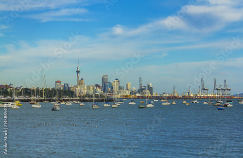 Boat Marina and View to Auckland City from Mission Bay - New Zealand