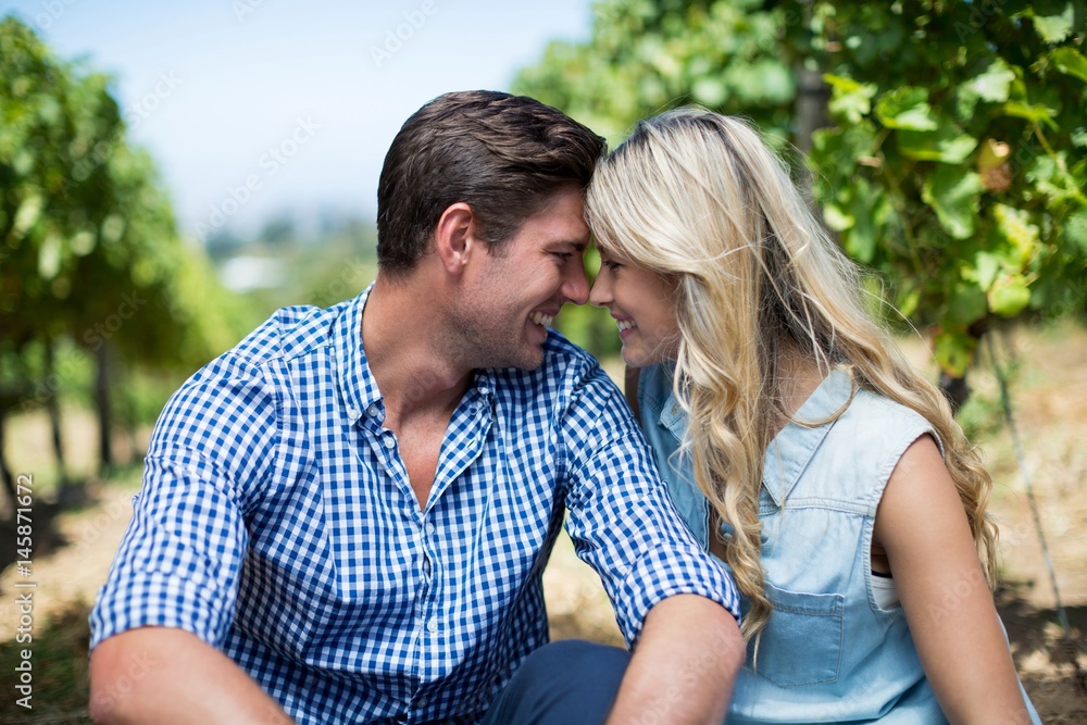 Fototapeta premium Happy young couple sitting at vineyard