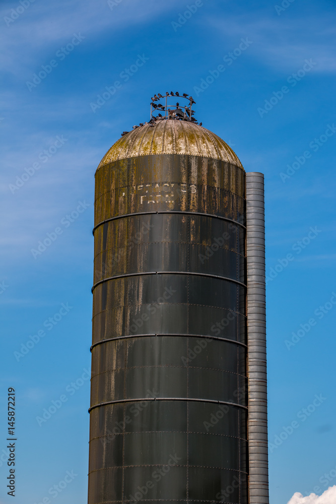 The grain tower