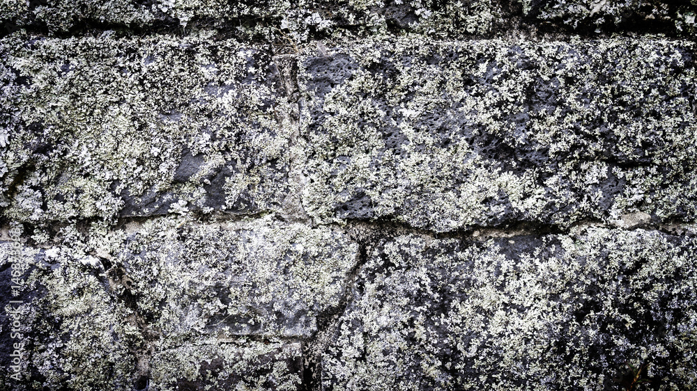 Obraz premium Stone Wall Background