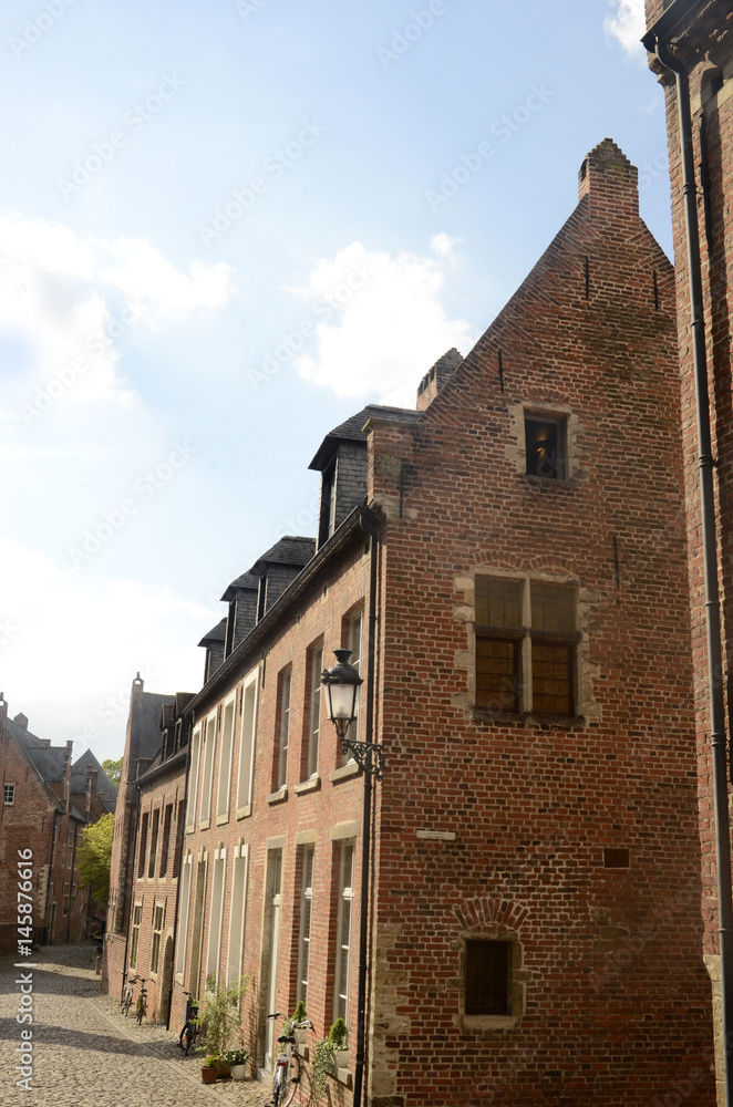 Naklejka premium Béguinage de Louvain