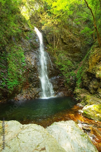 檜原村の払沢の滝