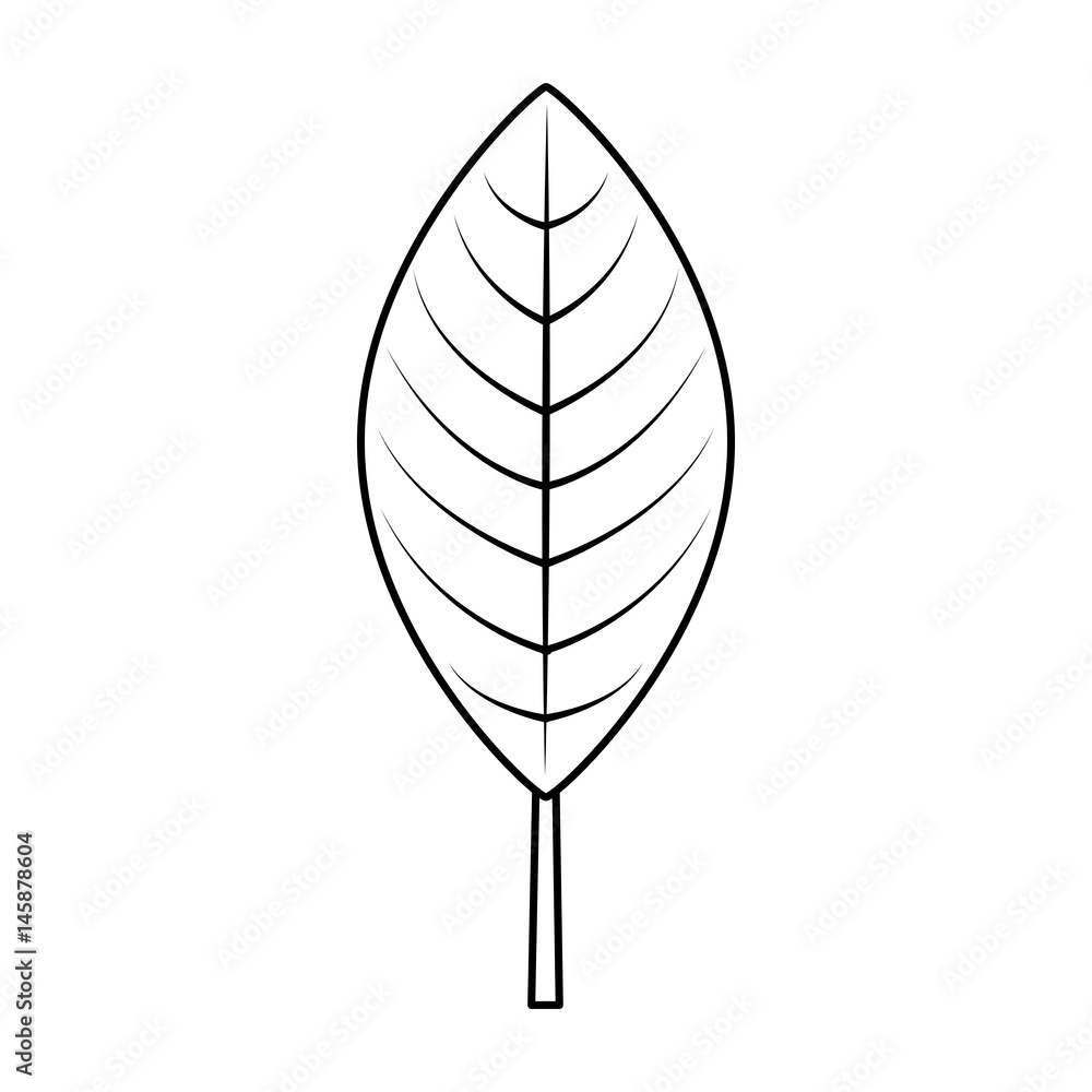 woodland floral decorative icon vector illustration design woodland floral decorative icon vector illustration design