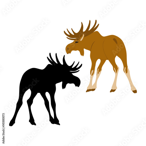 moose  vector illustration style Flat silhouette
