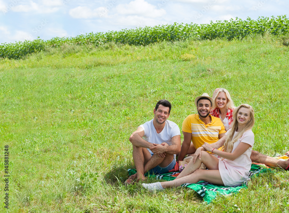 Friends picnic people group sitting blanket outdoor green grass two couple summer sunny day blue sky