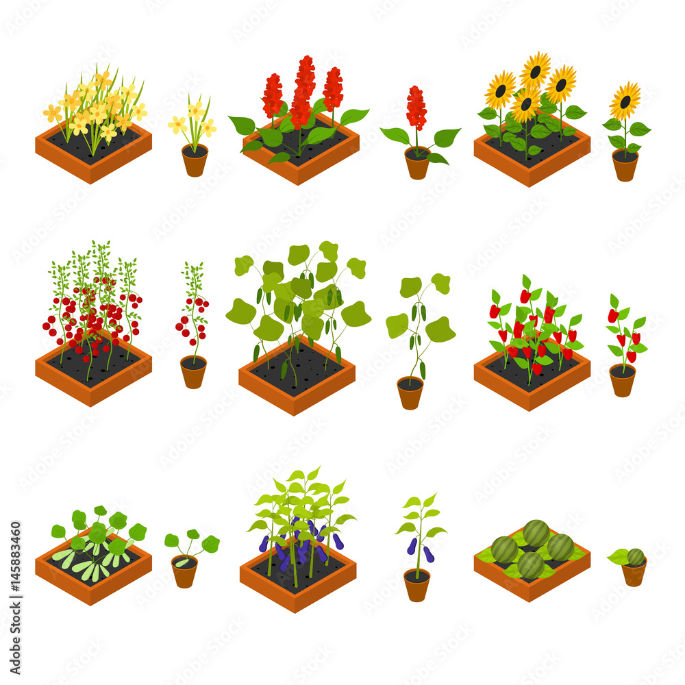 Obraz premium Plant Seedling and Elements Set Isometric View. Vector