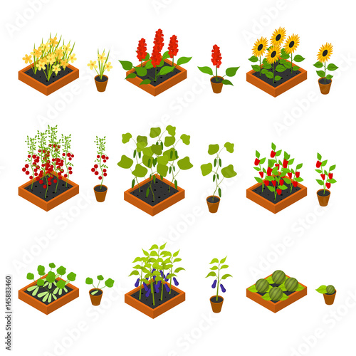 Plant Seedling and Elements Set Isometric View. Vector