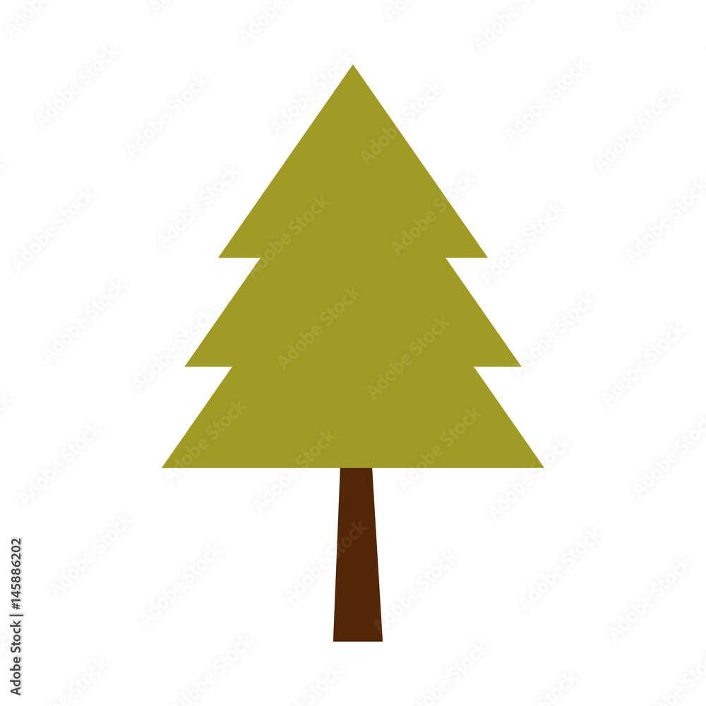 Fototapeta premium merry christmas pine tree vector illustration design