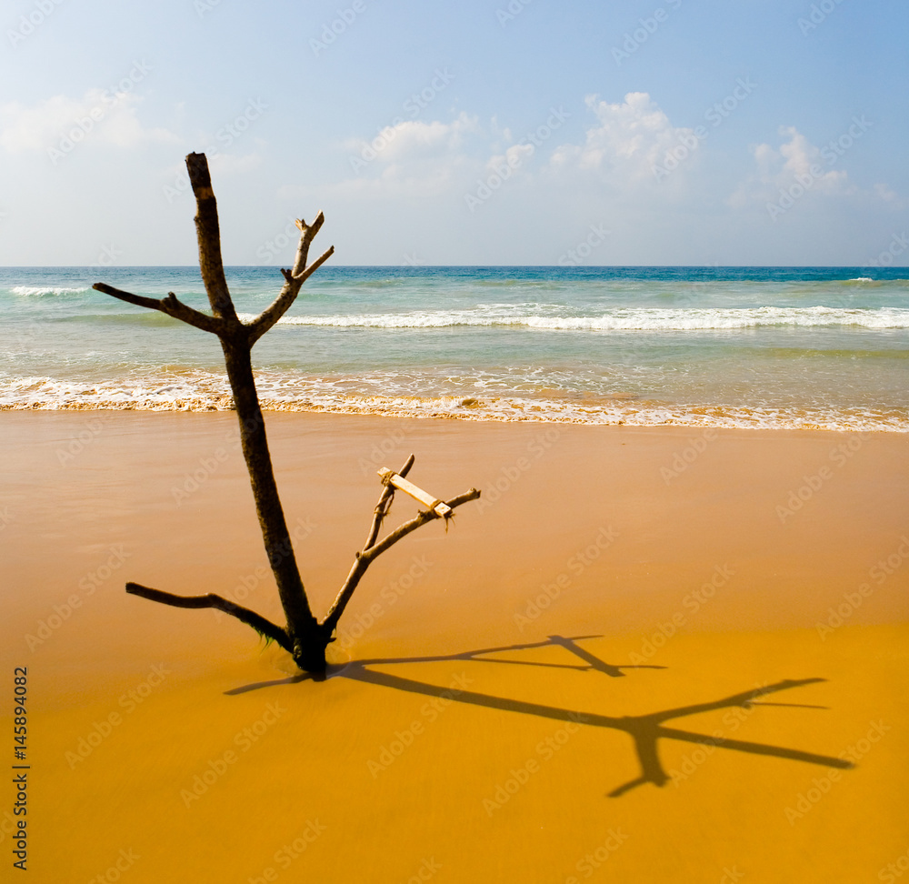 Unusual Sri Lankan device for fishing in the ocean. Unusual Sri Lankan device for fishing in the ocean.