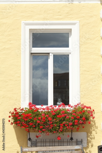 Fenster, Blumenkasten © detailfoto