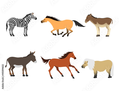 Horse pony stallion isolated different breeds color farm equestrian animal characters vector illustration. © partyvector