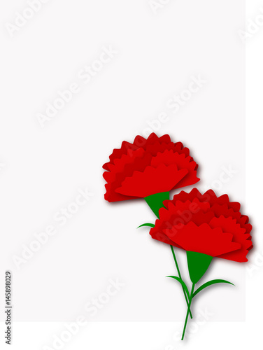 carnation