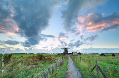 morning on Dutch farmland with windmill