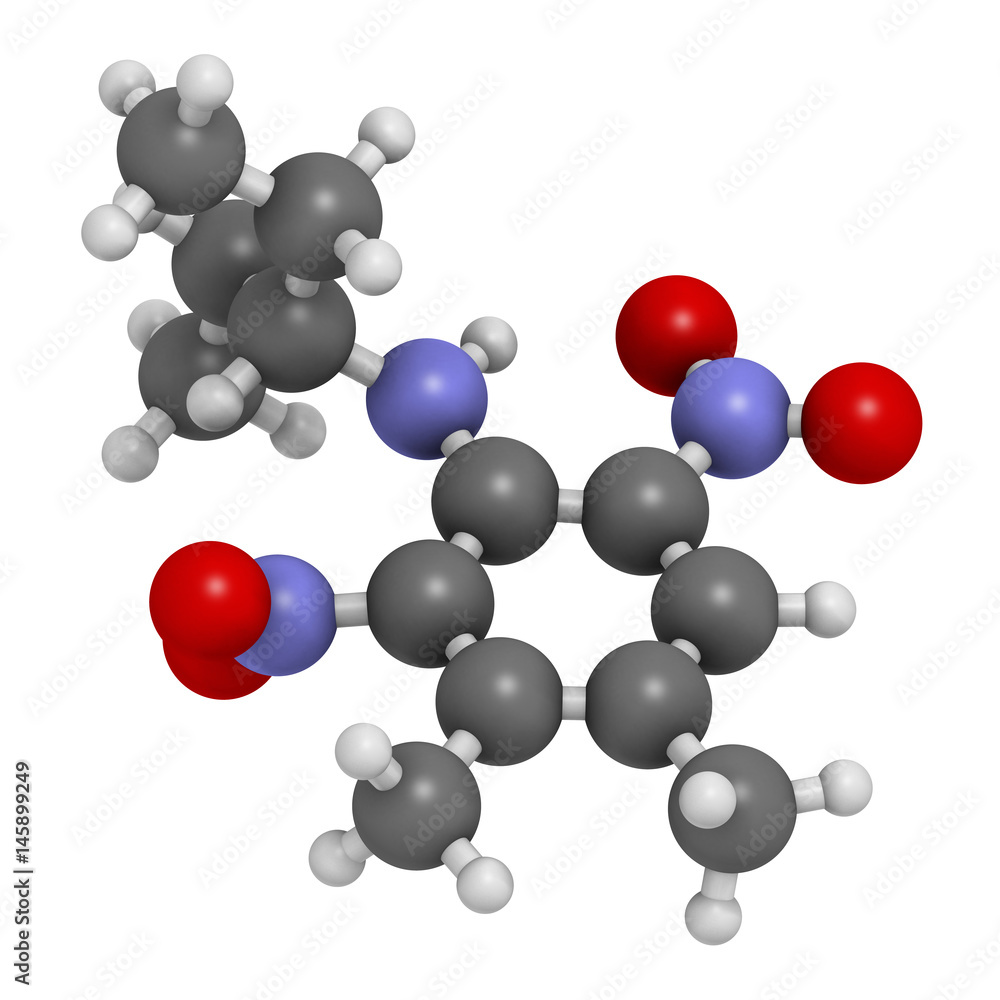 Pendimethalin herbicide molecule. 3D rendering. Atoms are represented as spheres with conventional color coding: hydrogen (white), carbon (grey), nitrogen (blue), oxygen (red). Pendimethalin herbicide molecule. 3D rendering. Atoms are represented as spheres with conventional color coding: hydrogen (white), carbon (grey), nitrogen (blue), oxygen (red).