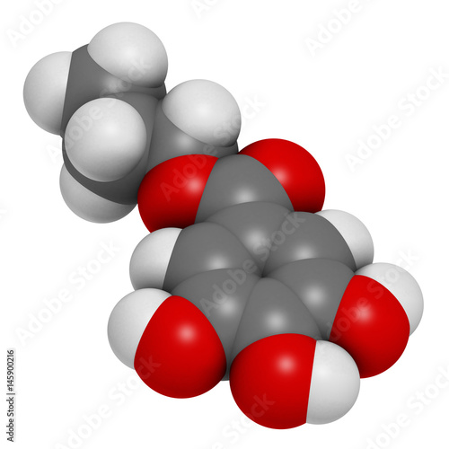 Propyl gallate antioxidant food additive molecule. 3D rendering. Atoms are represented as spheres with conventional color coding: hydrogen (white), carbon (grey), oxygen (red).