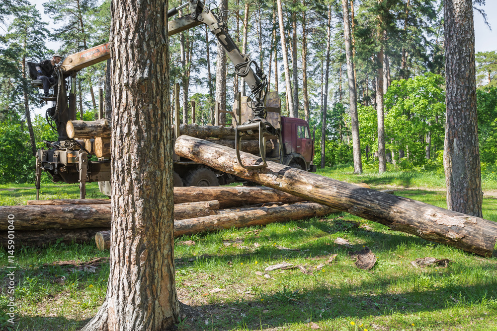Pointing device downloads the timber carrier Pointing device downloads the timber carrier