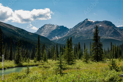 Peaks over a meadow in Tonquin Valley in Jasper, Alberta, Canada © monigre