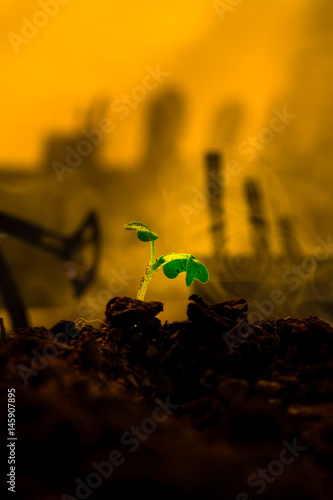 Young green plant in soil on background oil rocking machine photo