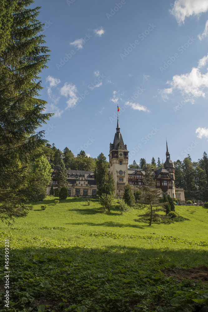 Obraz premium pelesh castle vertical