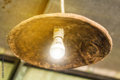Energy-saving light bulbs and tubes and wood lamps