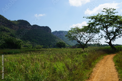 Mountains in the North of Cuba