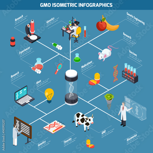 GMO Isometric Infographics