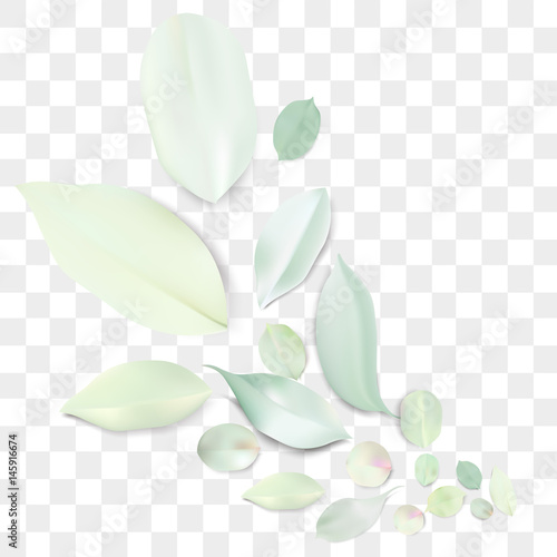 Pastel background with flower leaves.
