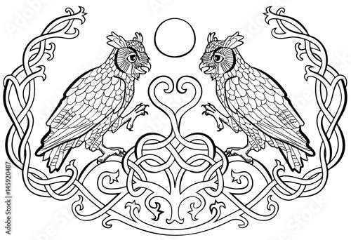 Vector illustration of owls in love celtic ornament black and white 