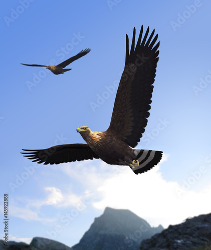 Golden Eagle Soaring © ratpack223