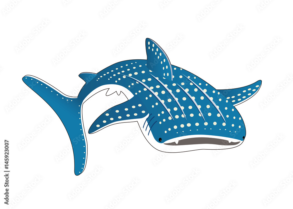 Fototapeta premium ジンベイザメ