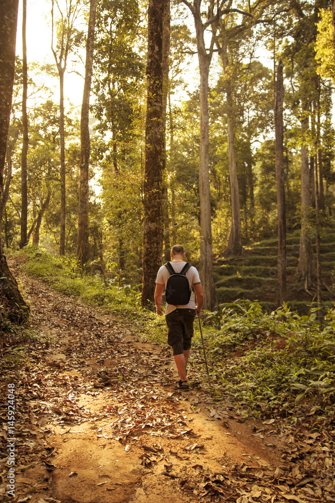 Tourist walk on the wild jungle. Tourist walk on the wild jungle.