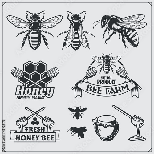 Set of honey labels, badges and design elements. Honeycombs, bees, honey emblems.