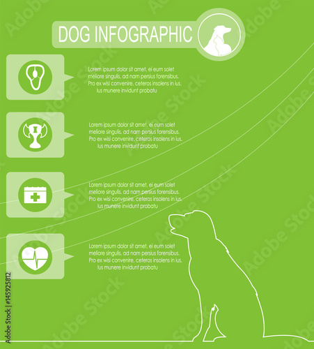 Dog infographics with icons.