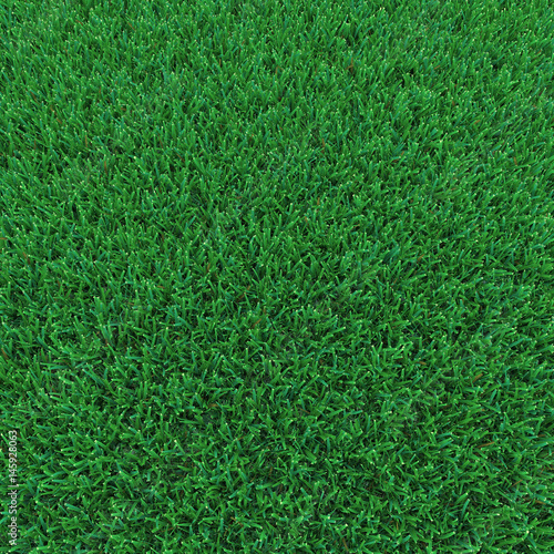 Kentucky Bluegrass Grass on white. 3D illustration