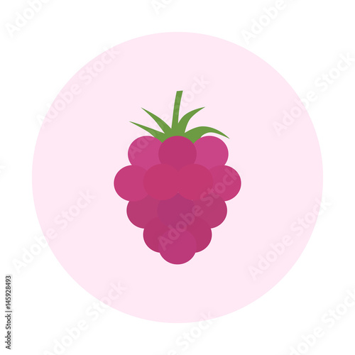 Raspberry vector illustration. Flat design. Raspberry icon.