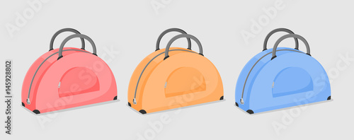 Set of beautiful woman s bags of pink  orange and blue color isolated on a white background.