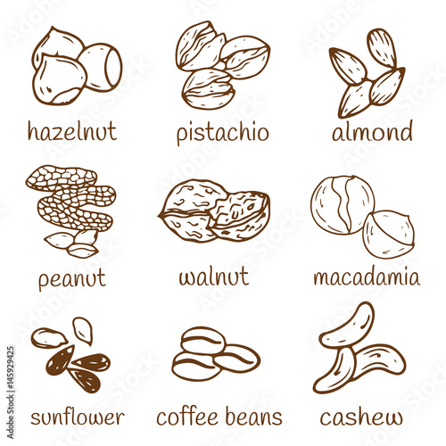 Set of hand-drawn nuts isolated.  Organic farm illustration. Healthy lifestyle vector design elements. Nut icons.