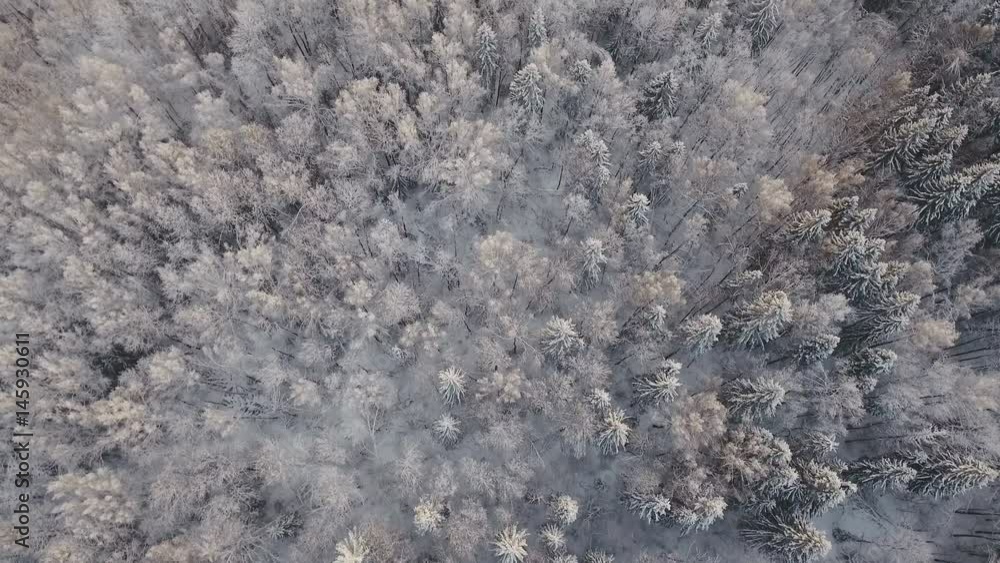 Aerial view of a winter forest. Snowy tree branch in a view of the winter forest. Winter landscape, forest, trees covered with frost, snow. Aerial footage, 4K video. Aerial view of a winter forest. Snowy tree branch in a view of the winter forest. Winter landscape, forest, trees covered with frost, snow. Aerial footage, 4K video.