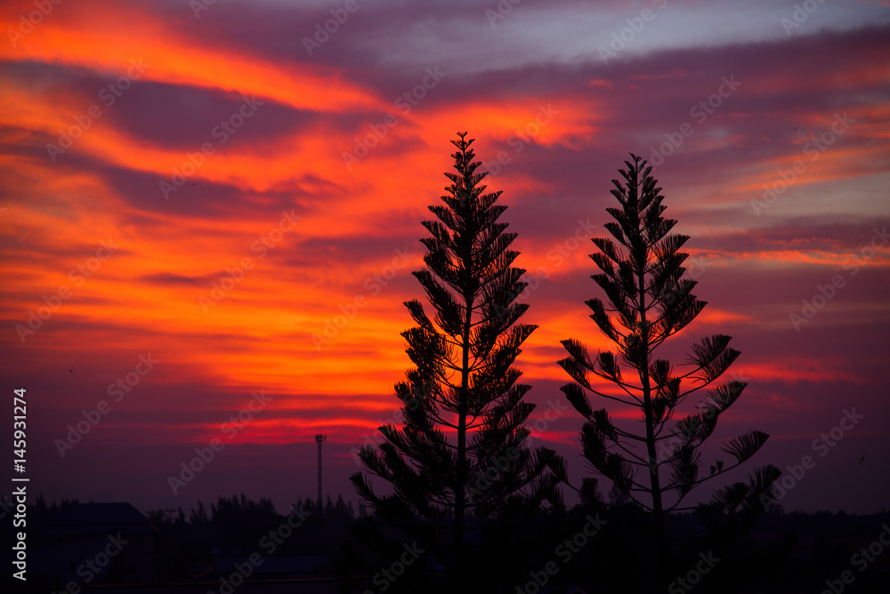 Obraz premium sunset