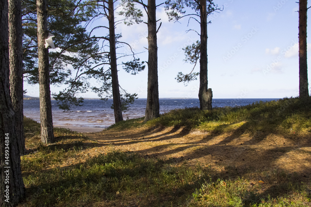 The beautiful lake in the pine trees forest of Russia with warm sunlight on morning
The beautiful lake in the pine trees forest of Russia with warm sunlight on morning