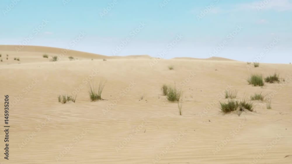 Sand carried by wind in Arabian desert dune HD video. Dry sandy barchan hill nature landscape background with copy space. Sand carried by wind in Arabian desert dune HD video. Dry sandy barchan hill nature landscape background with copy space.
