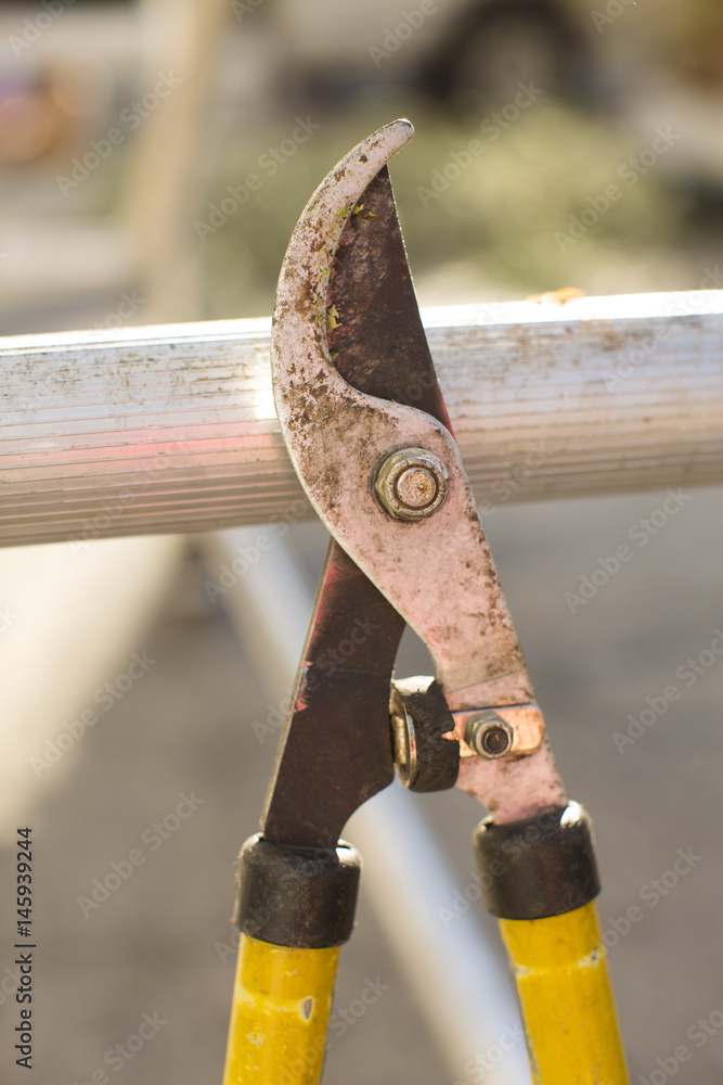Pruning shears. Pruning shears.