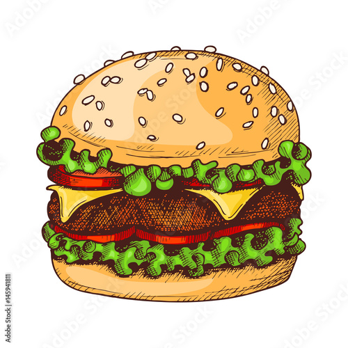 Sketch ink graphic hamburger illustration, colorful draft silhouette drawing, isolated on white background. Delicious vintage food design.
