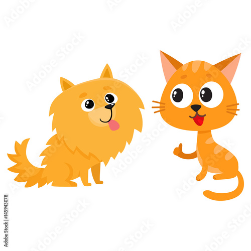Pomeranian spitz dog and red cat, kitten characters, friendship concept, cartoon vector illustration isolated on white background. Lovely spitz dog and red cat characters, friends playing together